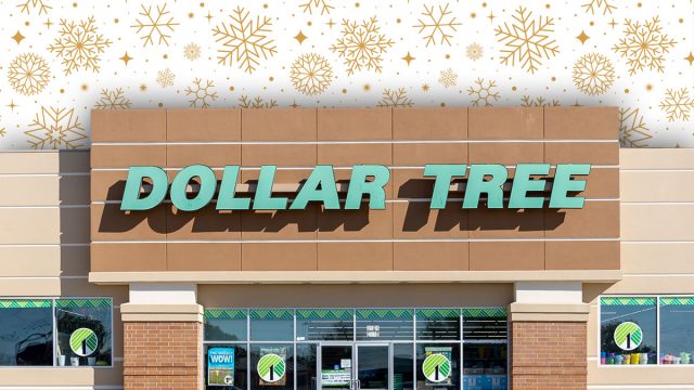 Dollar Tree Winter