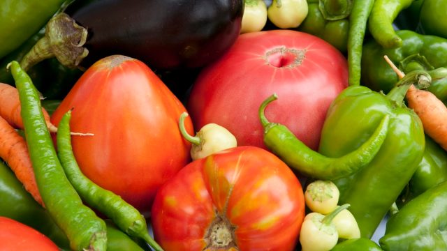 closeup of the nightshade vegetables tomatoes, peppers, and eggplant