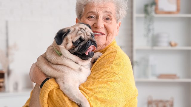 Senior woman with pug dog at home