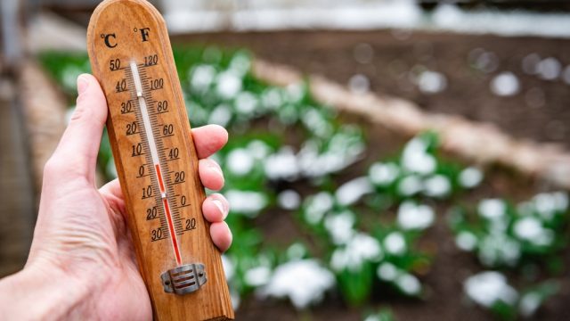 A hand holding a thermometer with falling temperature reading and snow on a bush in the background