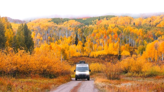 van driving through a patch of fall foliage in colorado